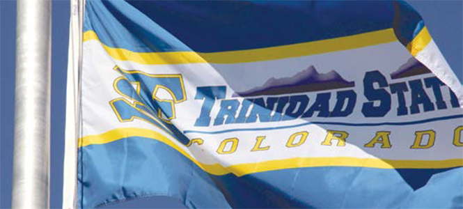TSC Flag image