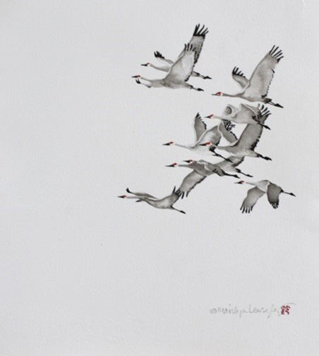 Artist image