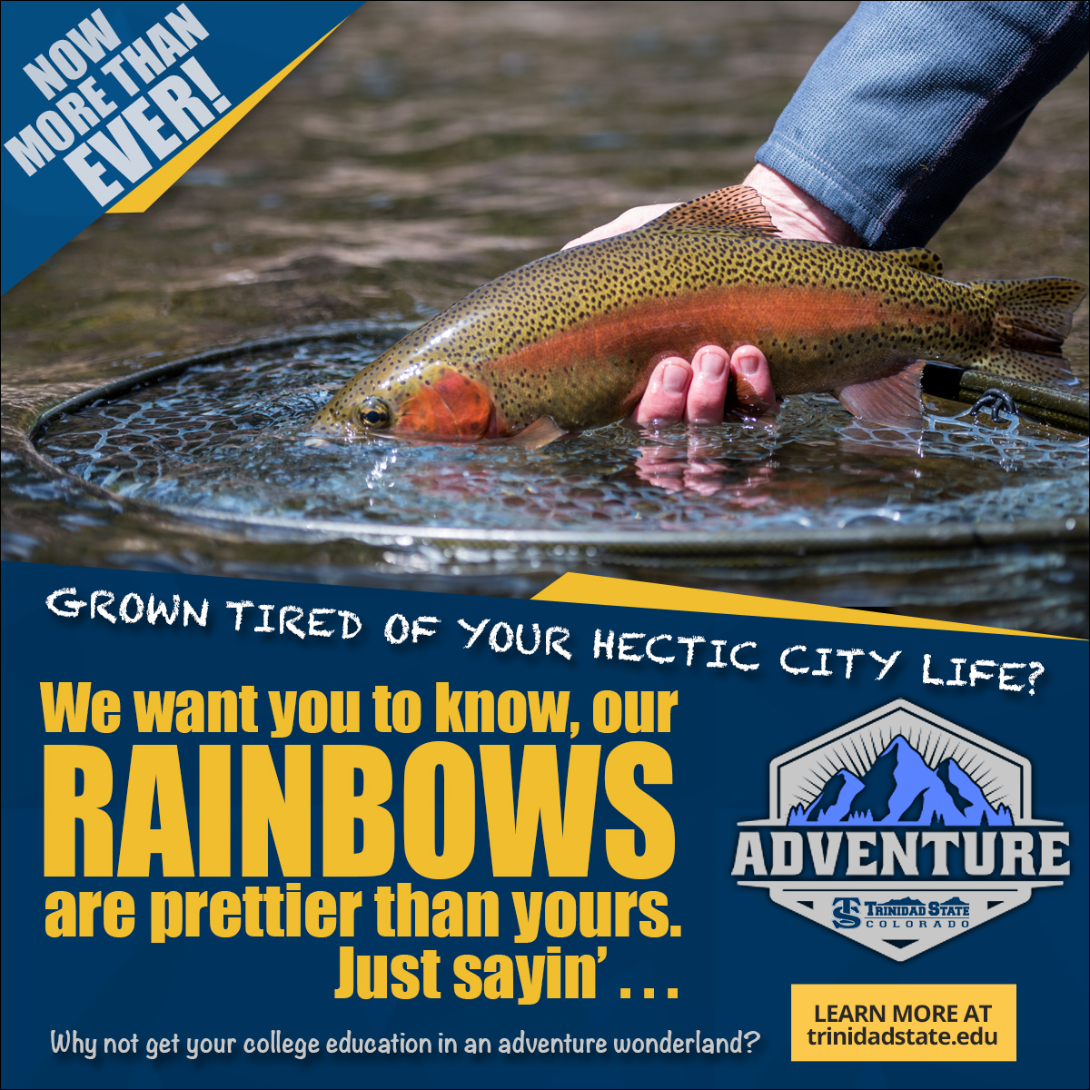 Adventure ad series image