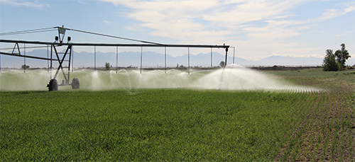 Trinidad State Agriculture image