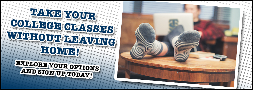 Online education image