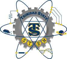 STEM logo image