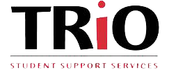 TRi) logo image