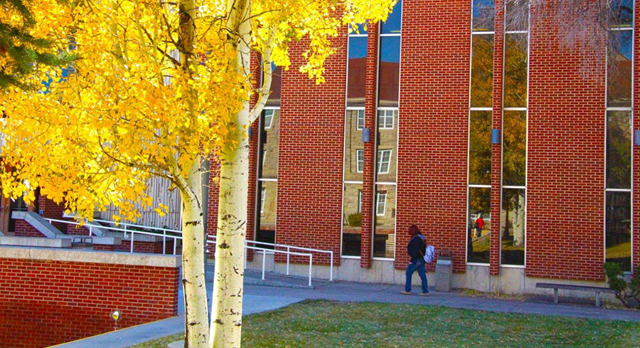 Library exterior image