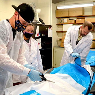 Human cadaver at Trinidad State College