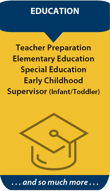 Education pathways image